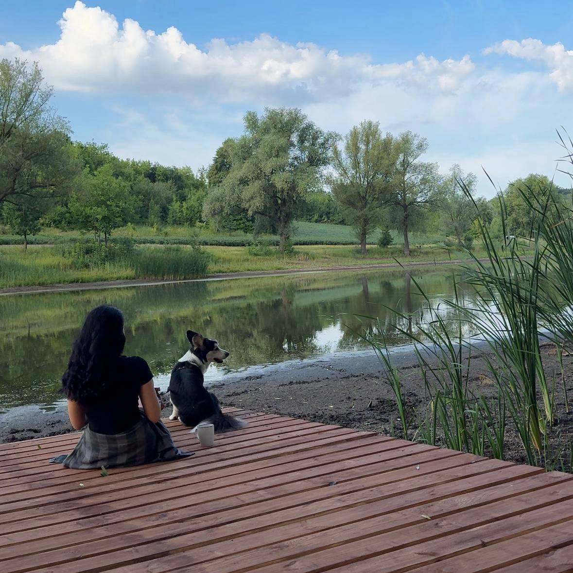 Настрій Обіймів: фото 1